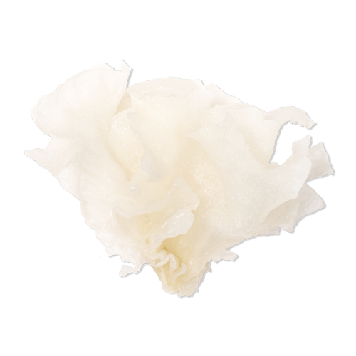 Tremella Mushroom