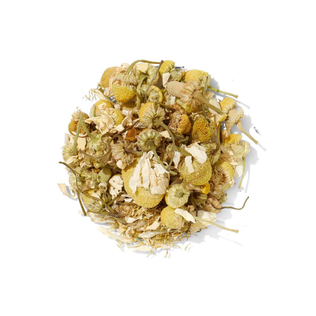 Organic Chamomile