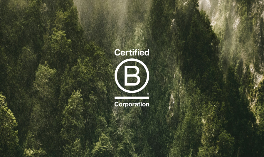Embracing a New Chapter: Two Islands Achieves B Corp Certification