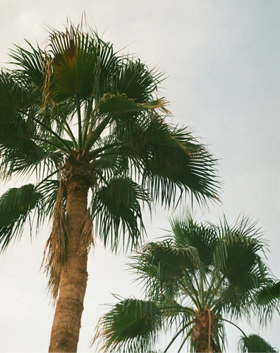 Watching, reading, listening. Our Summer guide to relaxing.