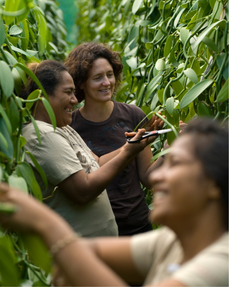 Redefining Vanilla: From bean to bottle and beyond with Heilala Vanilla.