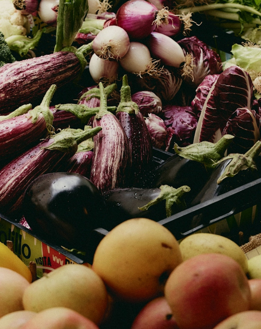 Can you live off multivitamins and protein shakes?