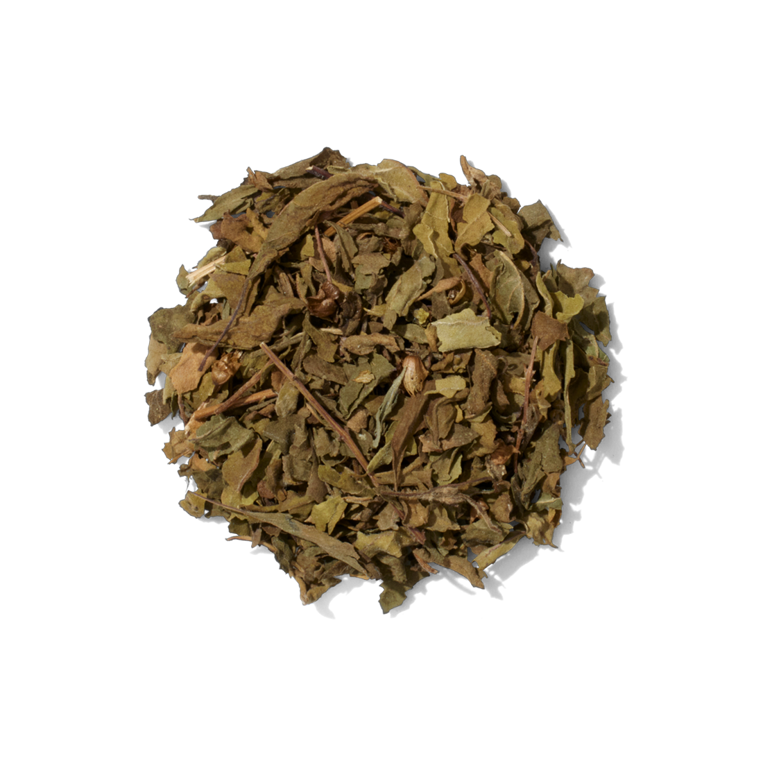 Holy Basil